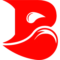 BLEED Esports VALORANT