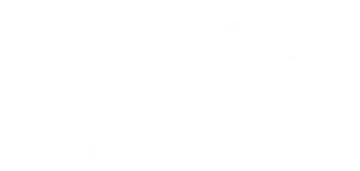 Fire Flux Esports VALORANT