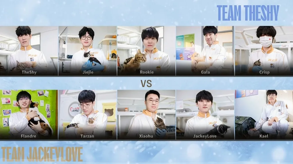 LPL players and adoptable cats appear in All-Star public-interest content.