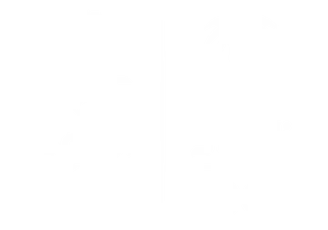 Saudi Olympic and Paralympic Committee
