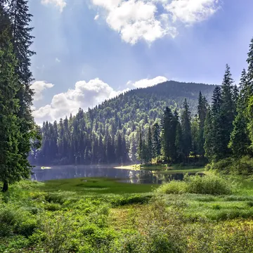 Ukraine