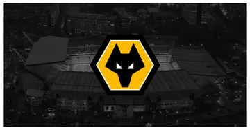 Wolves Esports